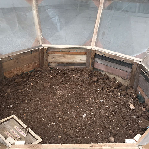 Detailed photo of the soil floor in the interior of the Living Room